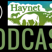 Haynet Podcast