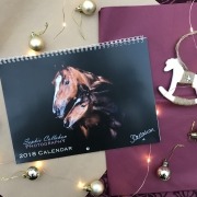 Sophie Callahan Equestrian Calendar