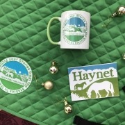Haynet