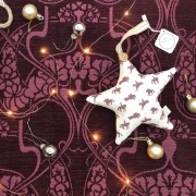 robin roadnight hanging star