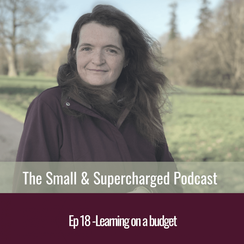 learning on a budget with rhea freeman