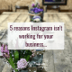 5 reasons your Instagram isn't working for your business...