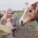 Donna Case The Horse Feed Guru Podmas