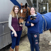 Dr Diane Fisher All The Kings Horses
