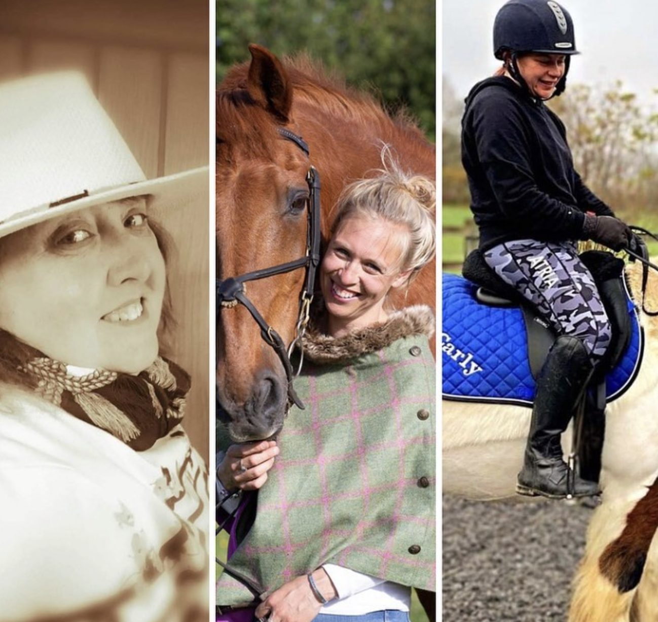 cathys chocolates COBS equine little margate equestrian