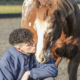 kieran smith equestrian