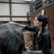 niki baxter baxter equine services